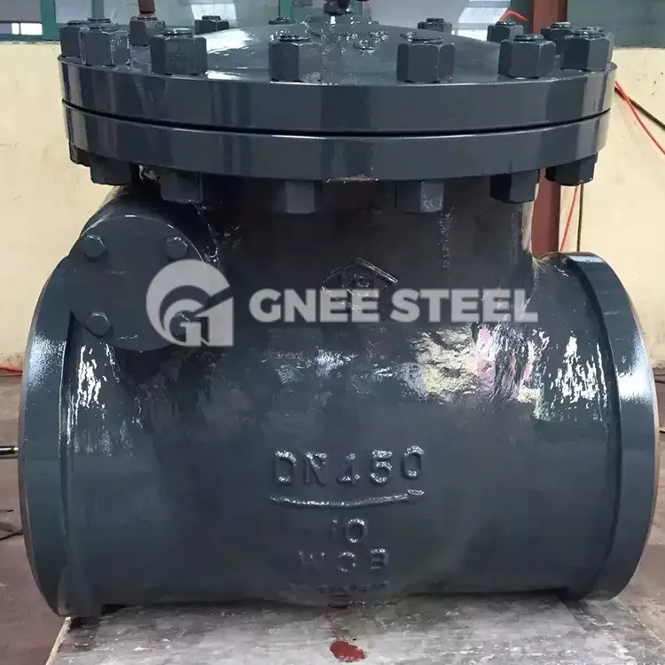 Cam khwb cia hlau Check Valve