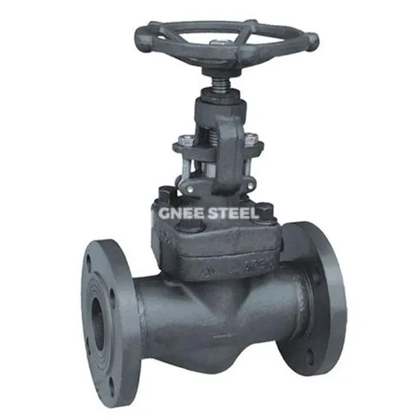 API 602 Forged Ntiaj Teb Valve