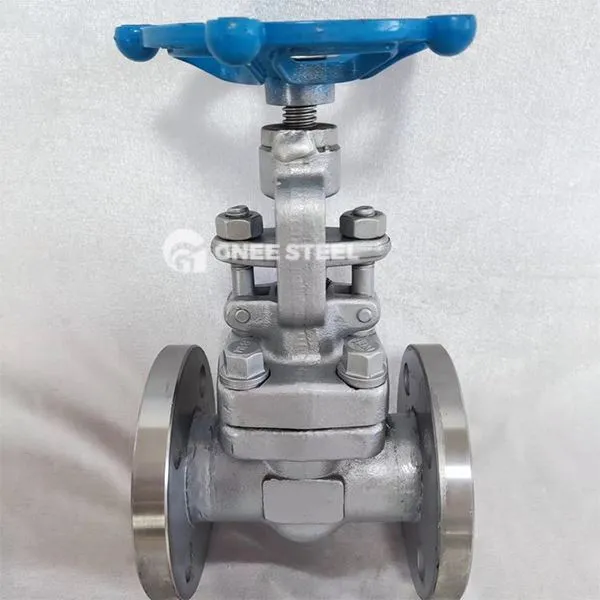 API 602 Globe Li Qub