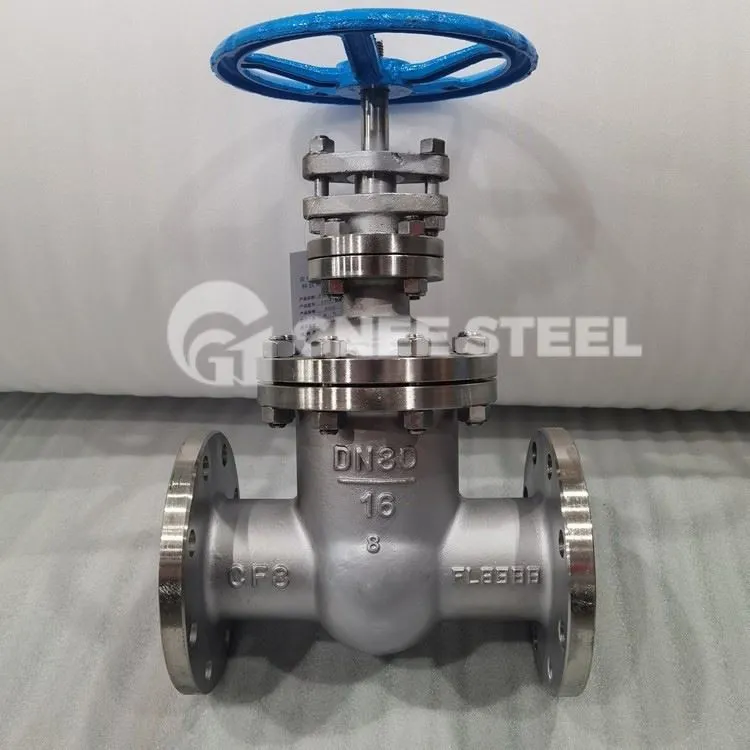 API Globe Valves