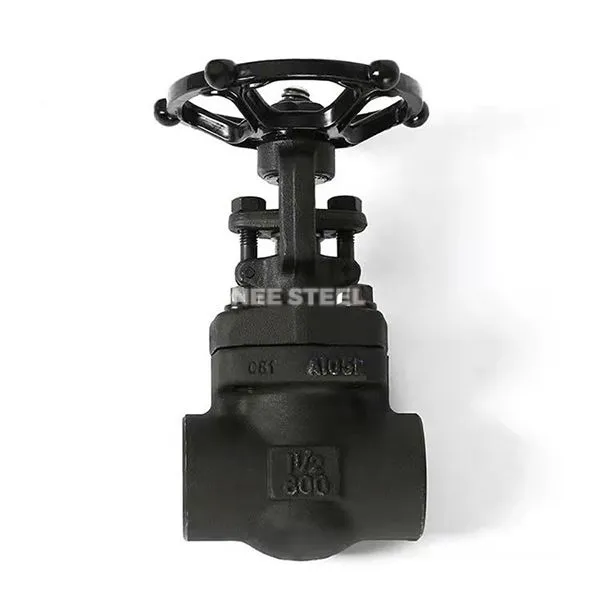 ASTM A105N Lub Ntiaj Teb Valve