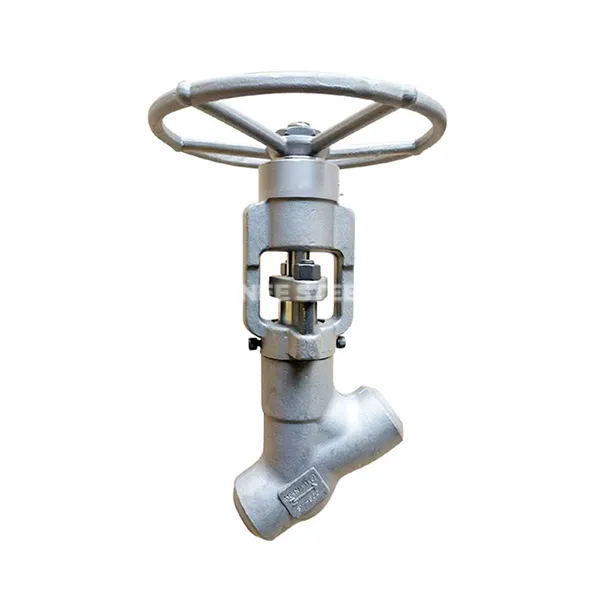 Bonnetless ntiaj teb Valve