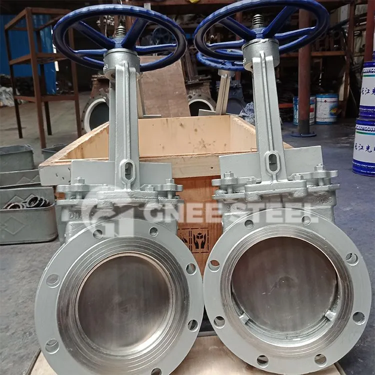Cast Lron Riam Gate Valve