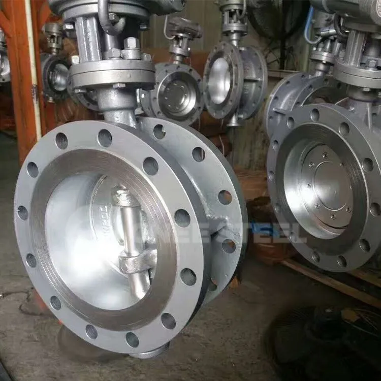 Cast Steel Centric Npauj Npaim Valves