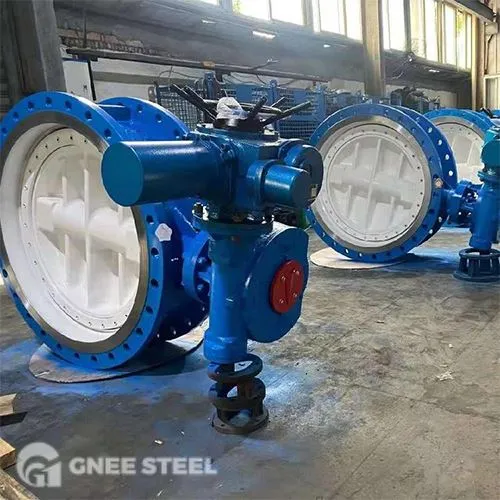 CENEN Center RE SEALING NPAIM NCO