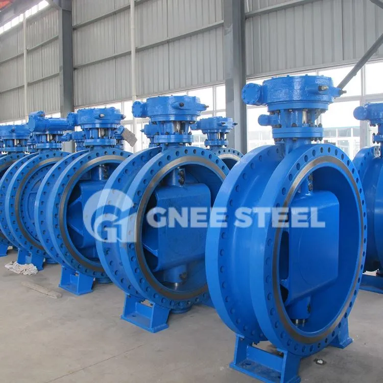 Concentric Flanged Hom Npauj Npaim Valve