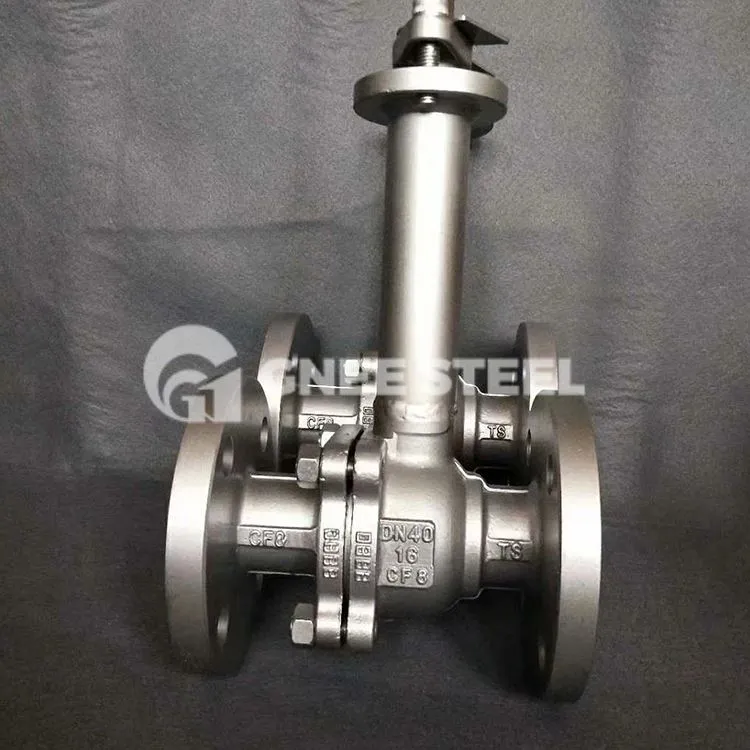 Cryogenic Globe Valve