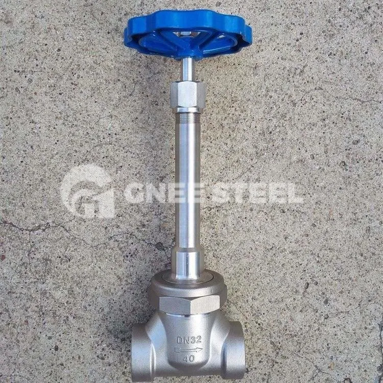 Cryogenic Globe Valves