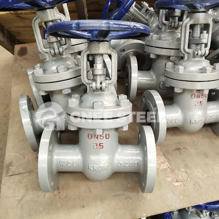 Din Carbon Steel Flange Rooj vag Valve