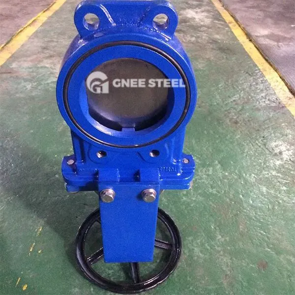 Zas Cov Hlau Riam Rooj Zaum Rooj Vag Valve