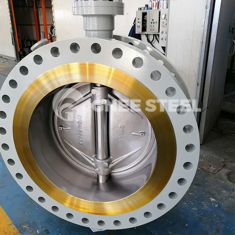 Eccentric Npauj Npaim Valve