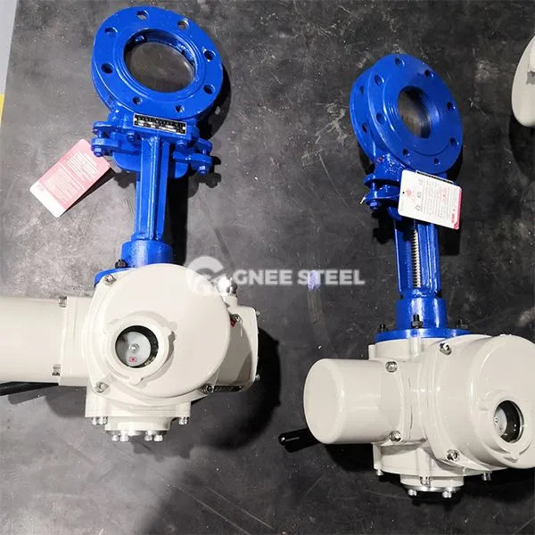 Fais Actuated Riam Rooj Vag Valve