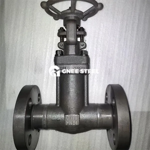 Forged Hlau Ansi 300 Rooj vag Valve