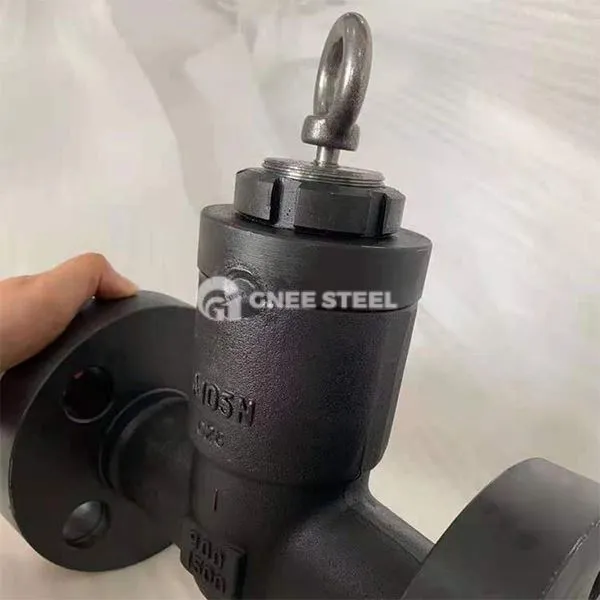 Forged Hlau Kos Valve