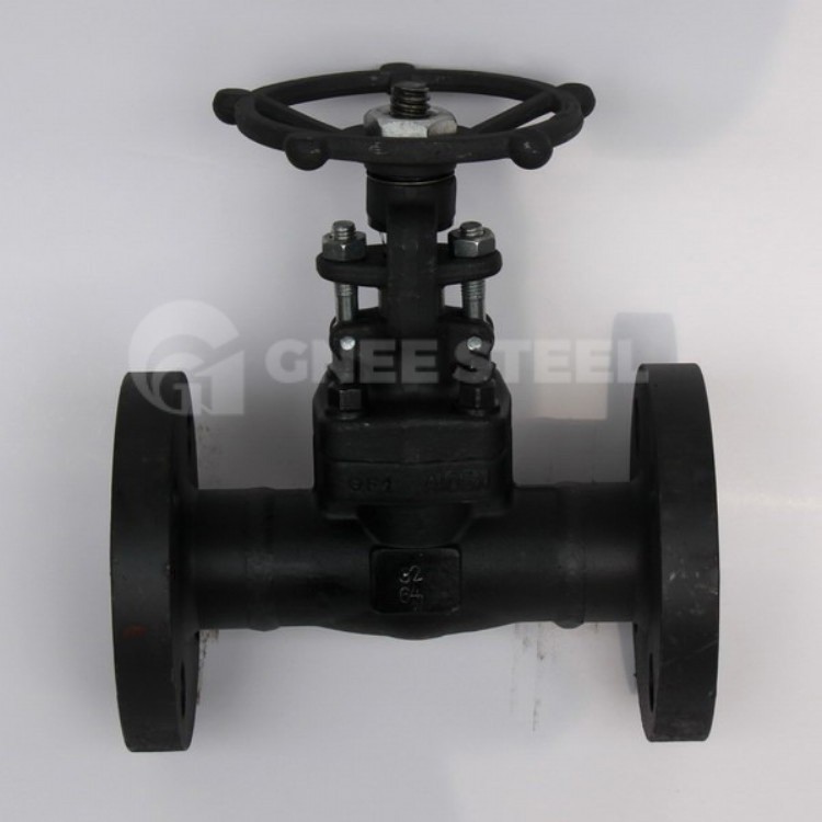Forged Steel Piston Check Valve