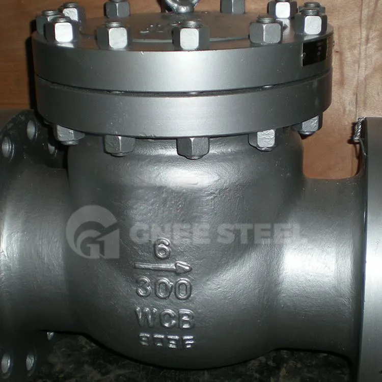 Forged Steel Swing Check Valve