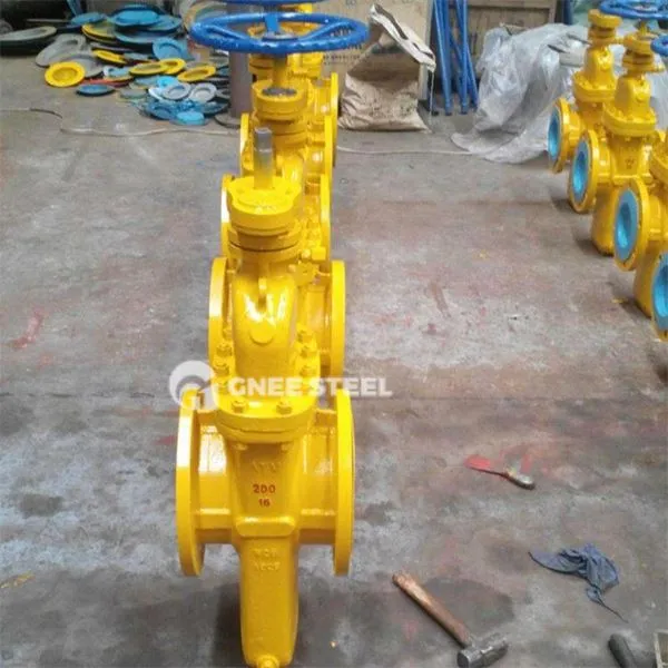 Rooj vag Valve Rau Cov Roj Nkev