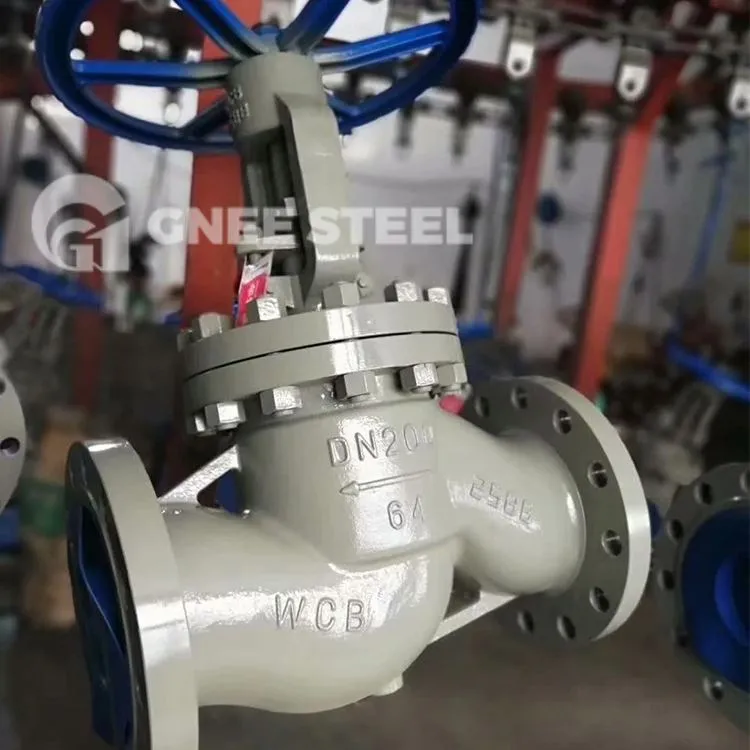 Globe Check Valve