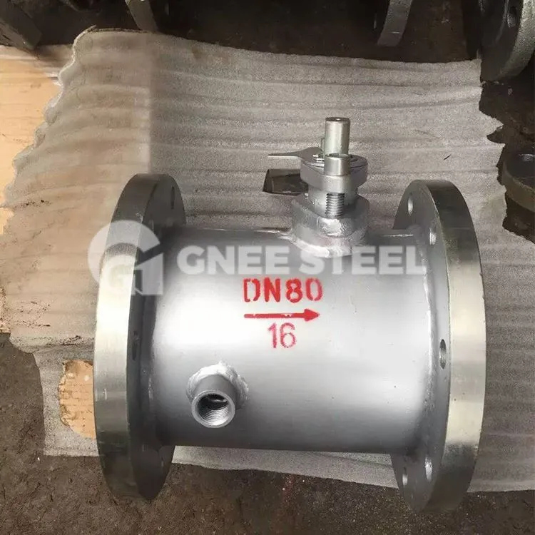 Ib nrab Jacketed Globe Valve