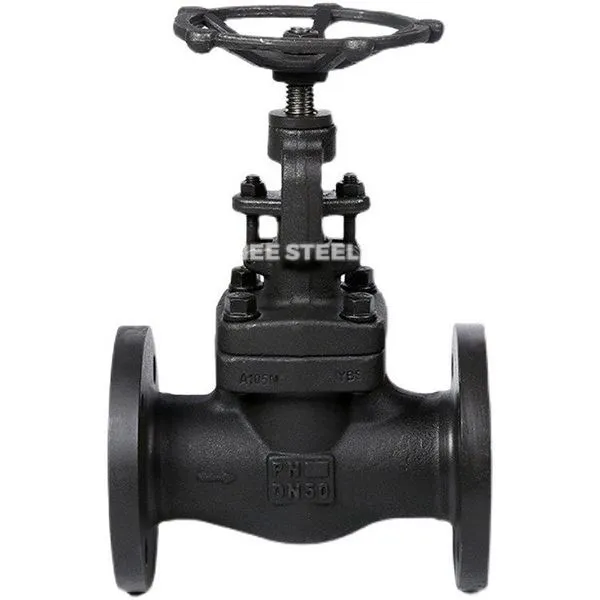 Siab Siab Forged Ntiaj Teb Valve