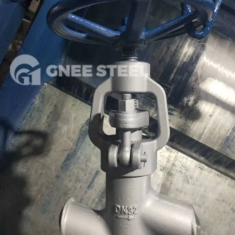 High Pressure Globe Valve