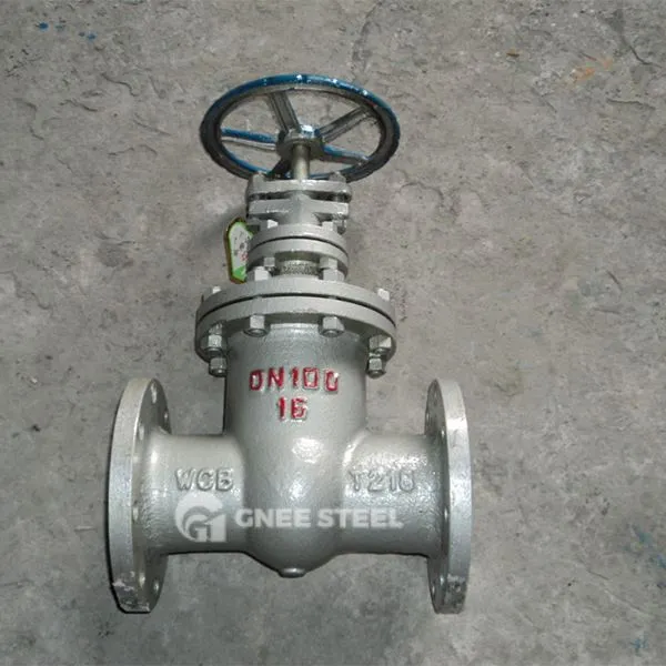 Tsis tshua muaj zog rooj vag valve