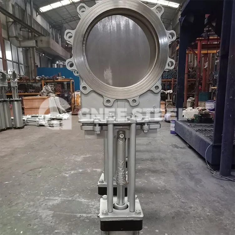 Pneumatic swb rooj vag Valve