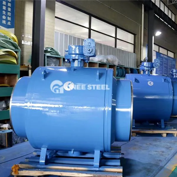 Cov Chaw Nres Nkoj Pall Valve