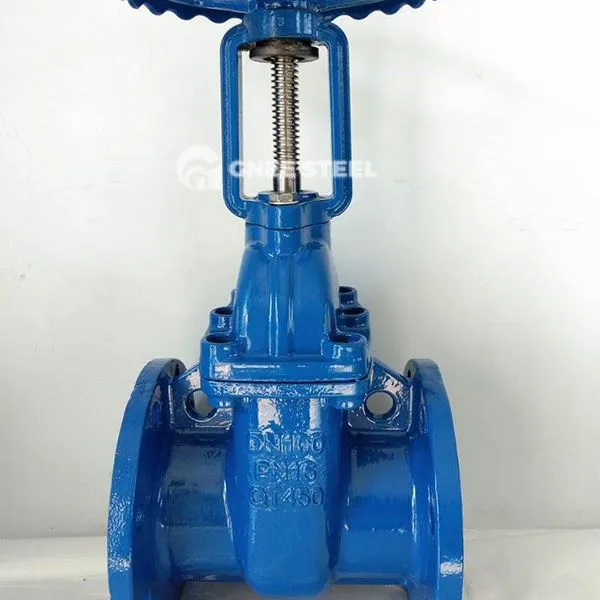 Resilient Npoo Txawv Rooj Vag Li