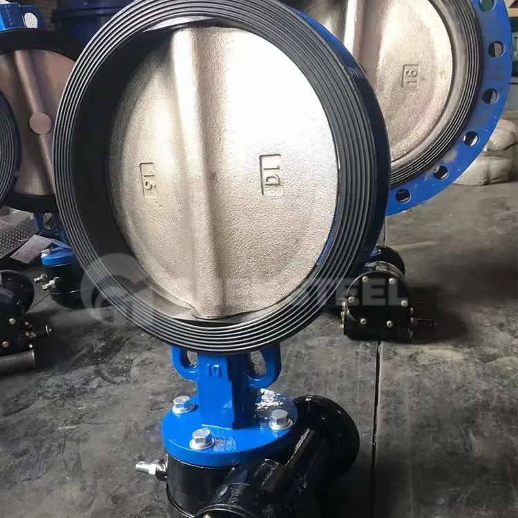 Roj Hmab Lined Wafer Hom Npauj Npaim Valve