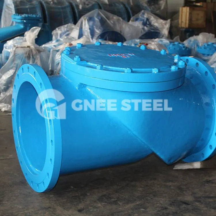 Rubber Seat Flap Check Valve