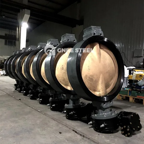 Semi Lugged Npauj Npaim Valve