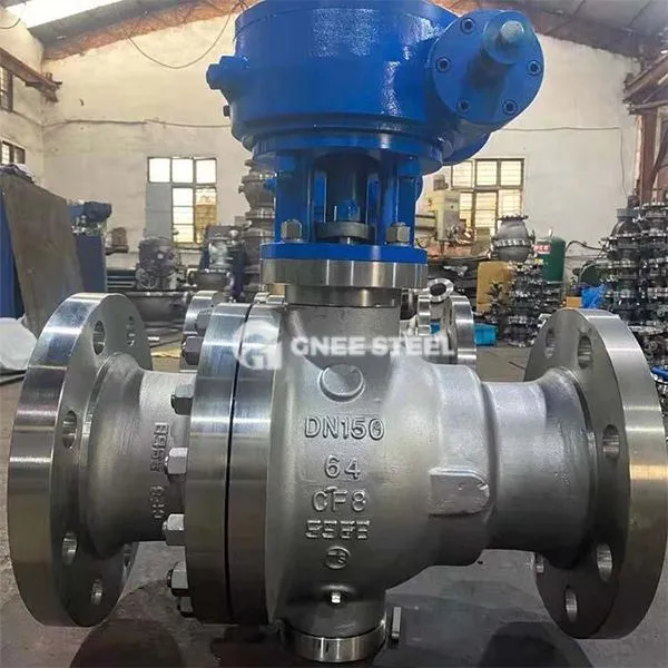 SS pob valve Flange Hom