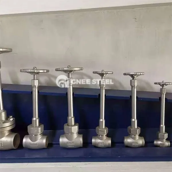 Stainless Hlau Cryogenic Ntiaj Teb Li Qub