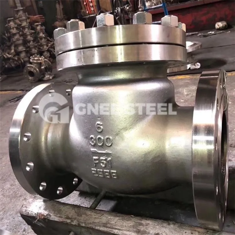 Stainless hlau Swing Check Valves
